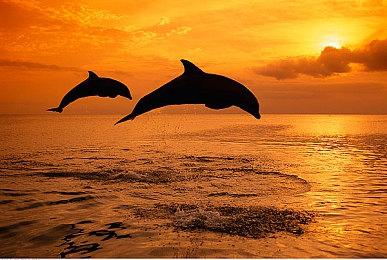 《潜行者：封锁区传奇三部曲》11月登陆任天堂Switch